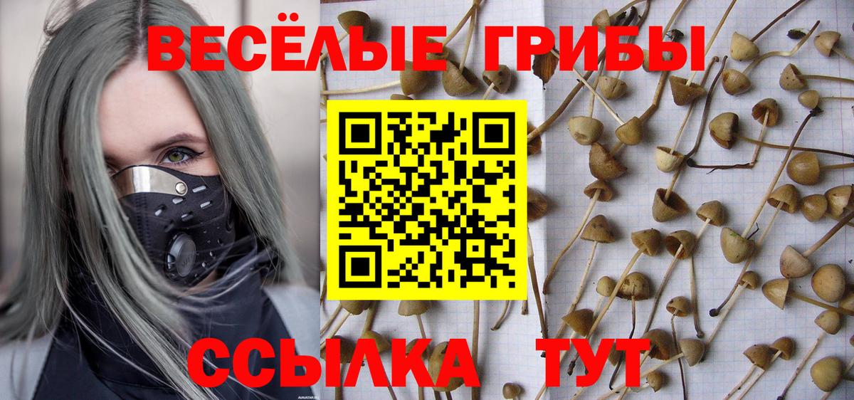 Псилоцибиновые грибы ЛСД Вязьма