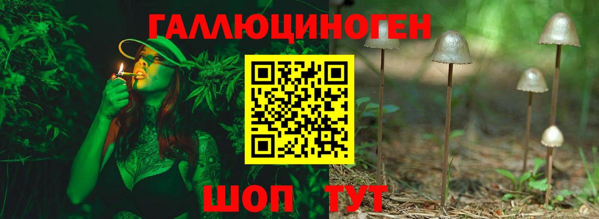 Вязьма  Псилоцибиновые грибы Psilocybe  Псилоцибиновые грибы GOLDEN TEACHER  закладка  Вход с VPN 